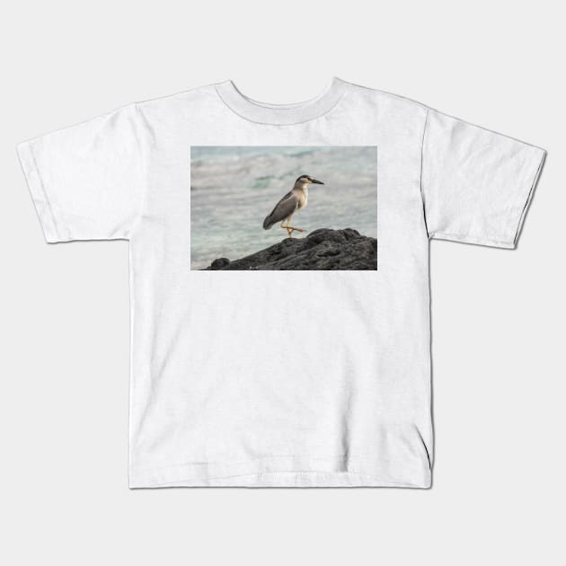 Black-crowned night heron of hawaii 3 Kids T-Shirt by KensLensDesigns